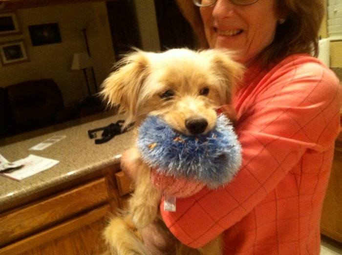 Lucy 1stNight Toy