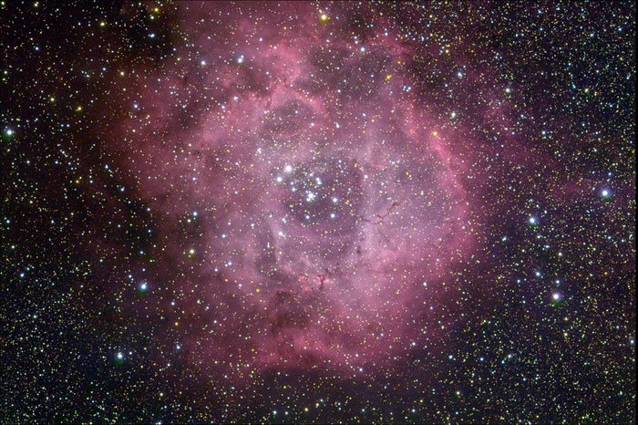 Rosette Nebula NGC 2237 Mar 21 2012